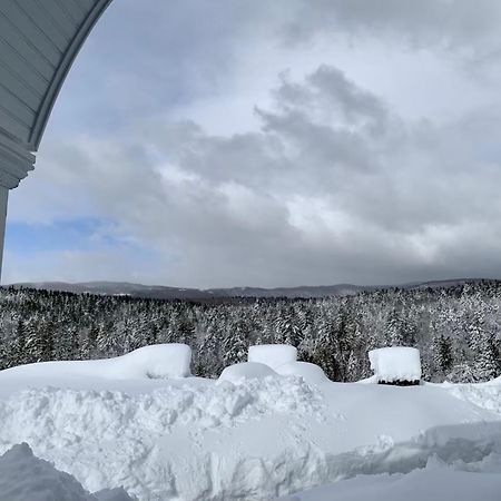 Adams Hill House Retreat - Artist-Architect'S Estate, Newfane Vermont エクステリア 写真