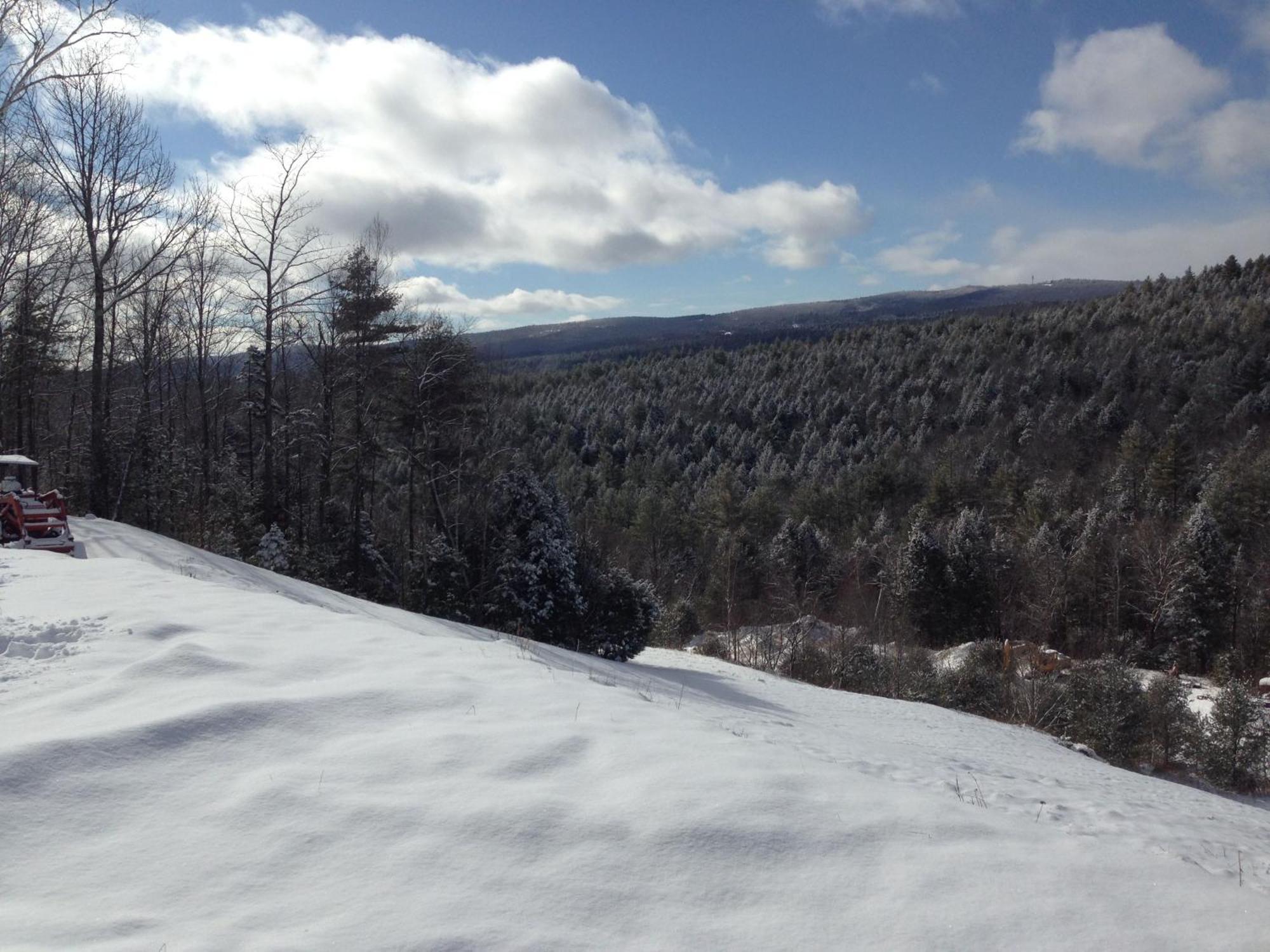 Adams Hill House Retreat - Artist-Architect'S Estate, Newfane Vermont エクステリア 写真