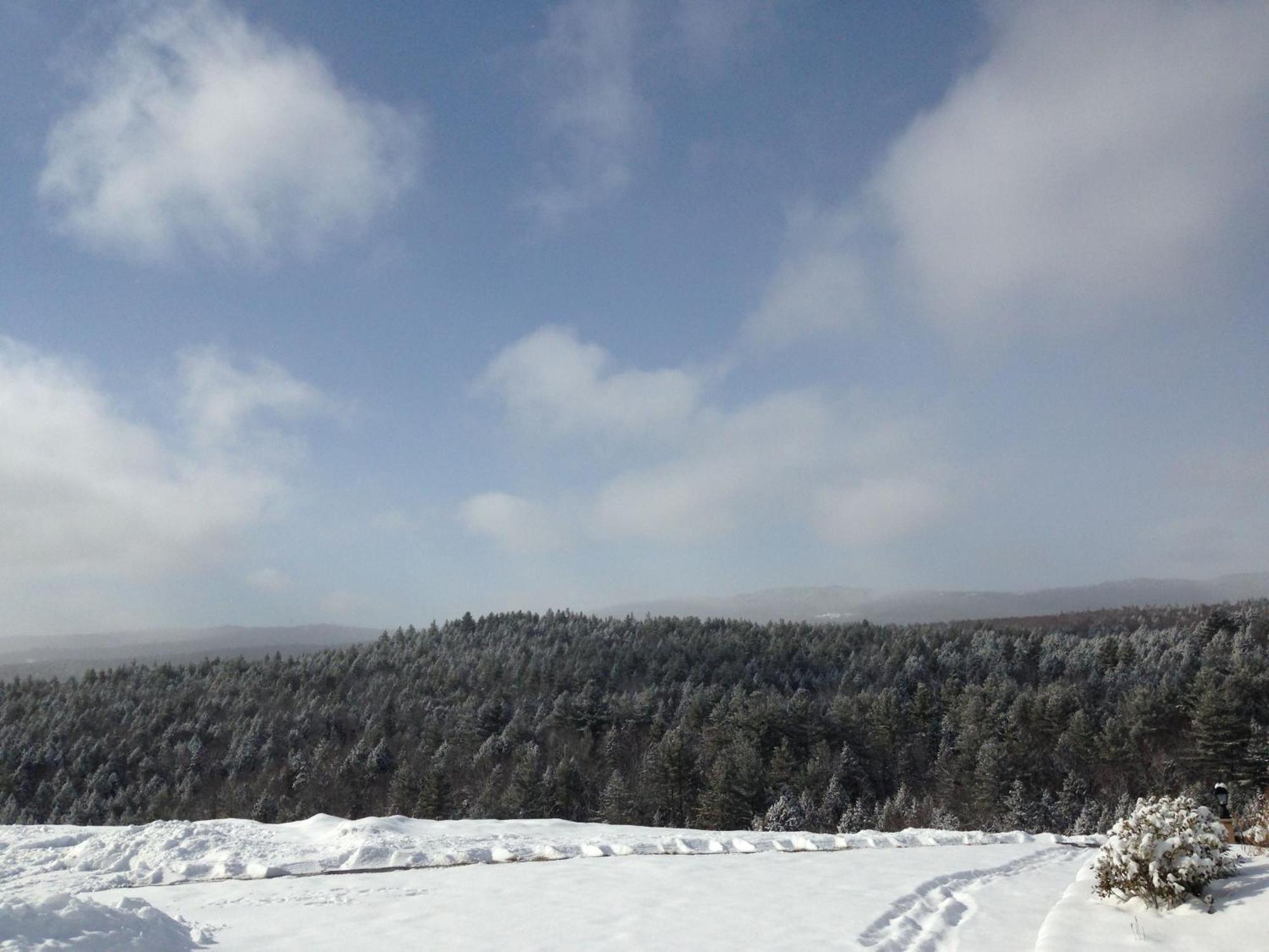 Adams Hill House Retreat - Artist-Architect'S Estate, Newfane Vermont エクステリア 写真