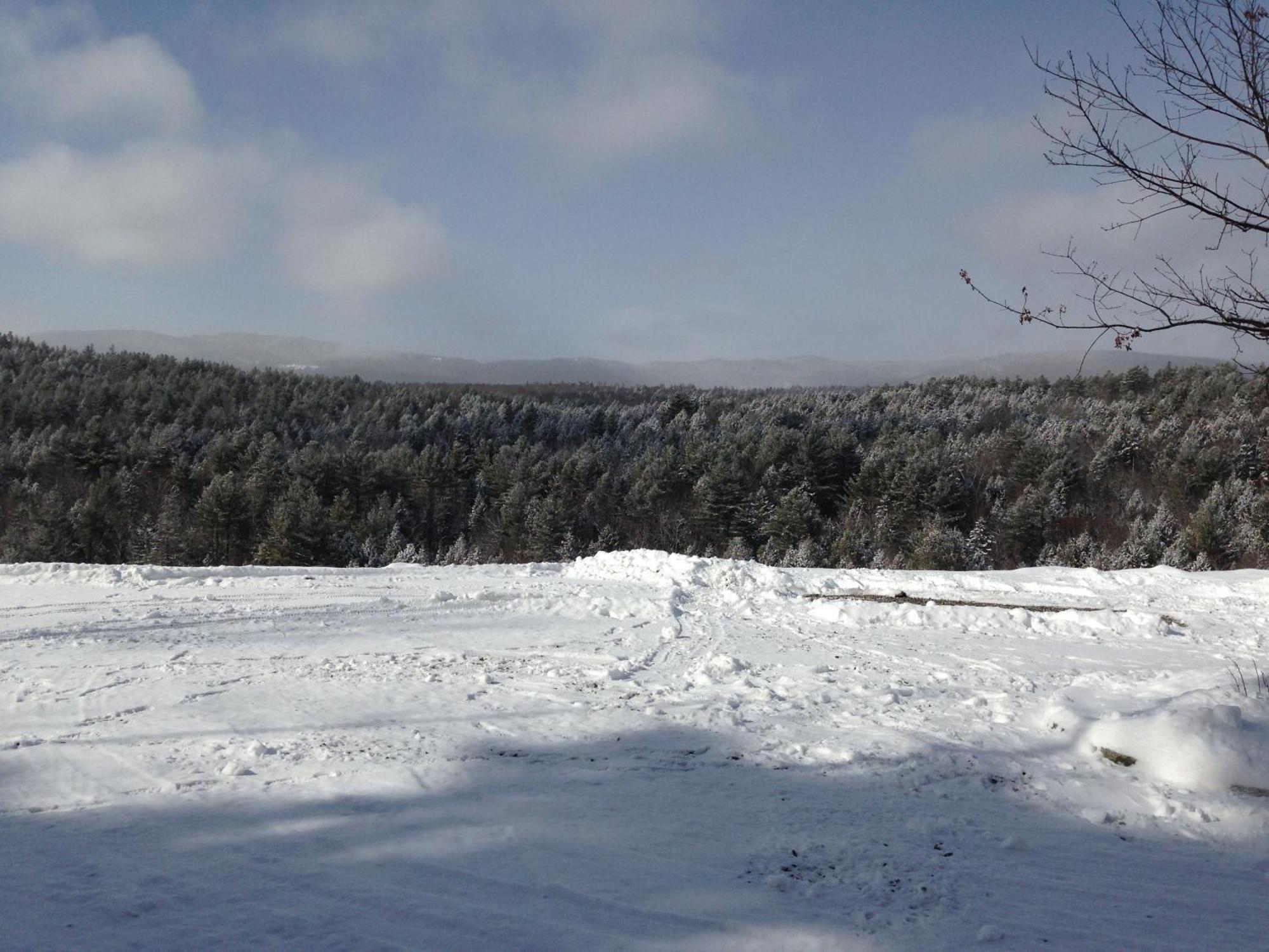 Adams Hill House Retreat - Artist-Architect'S Estate, Newfane Vermont エクステリア 写真