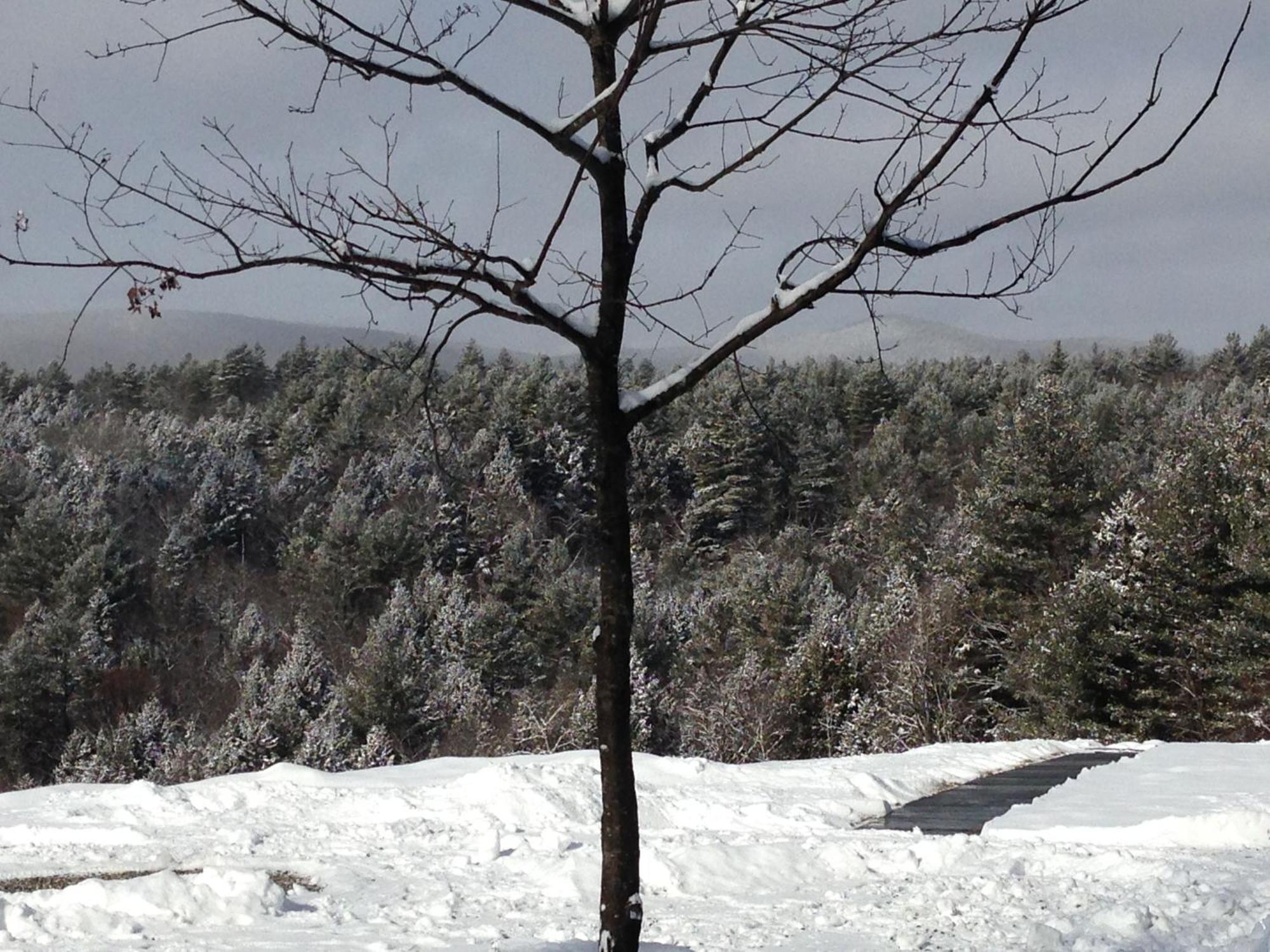 Adams Hill House Retreat - Artist-Architect'S Estate, Newfane Vermont エクステリア 写真