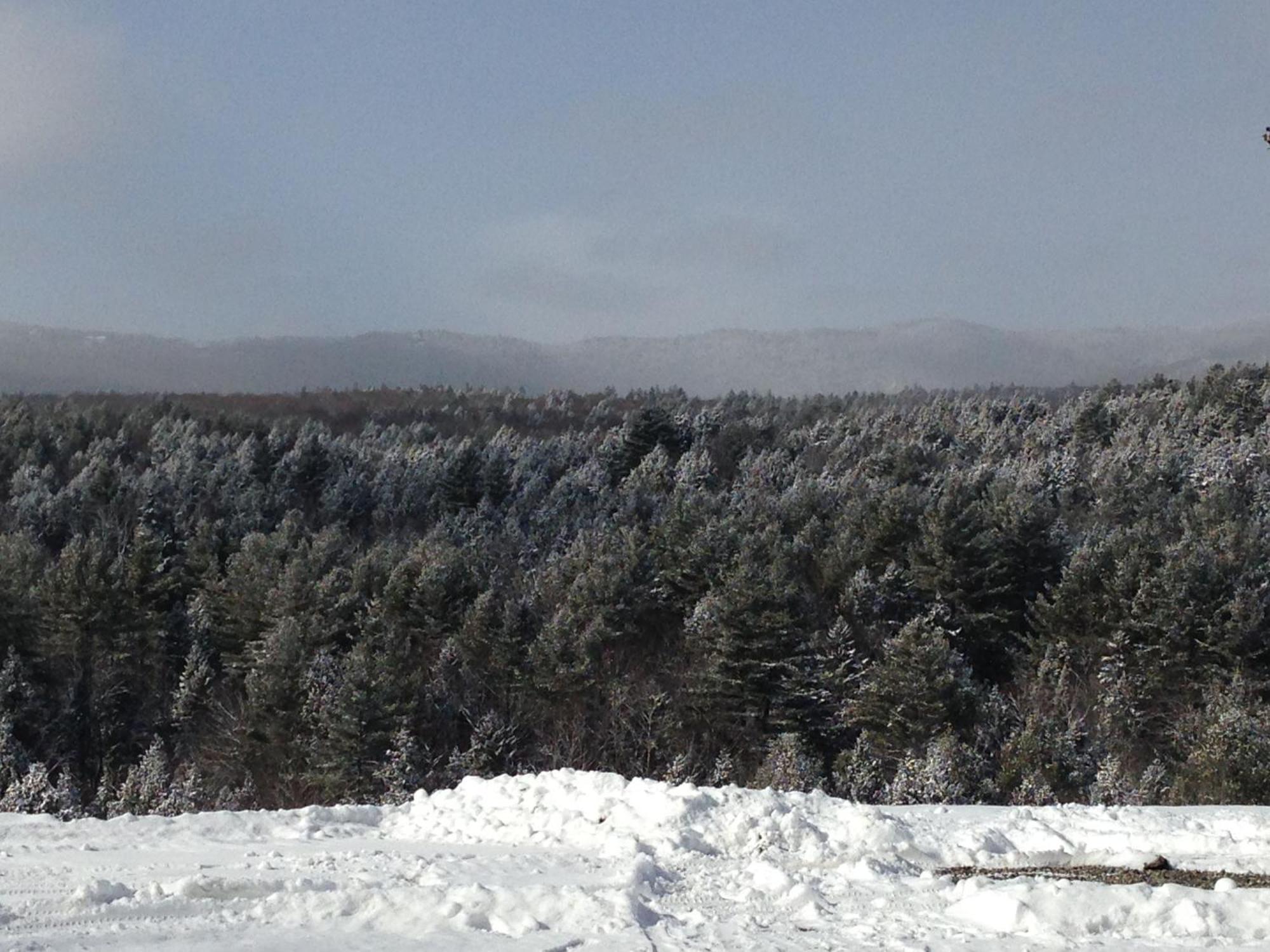 Adams Hill House Retreat - Artist-Architect'S Estate, Newfane Vermont エクステリア 写真