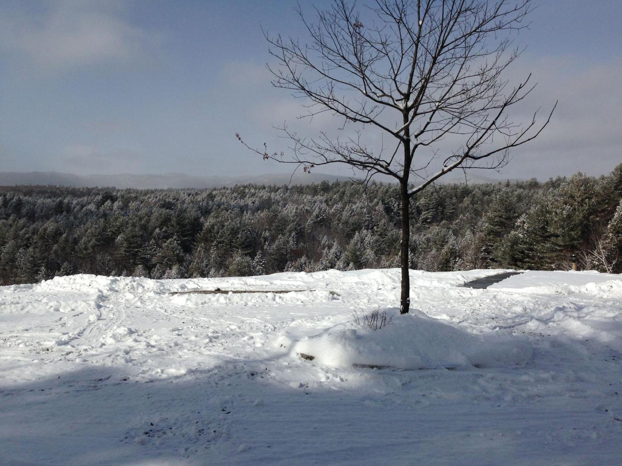 Adams Hill House Retreat - Artist-Architect'S Estate, Newfane Vermont エクステリア 写真