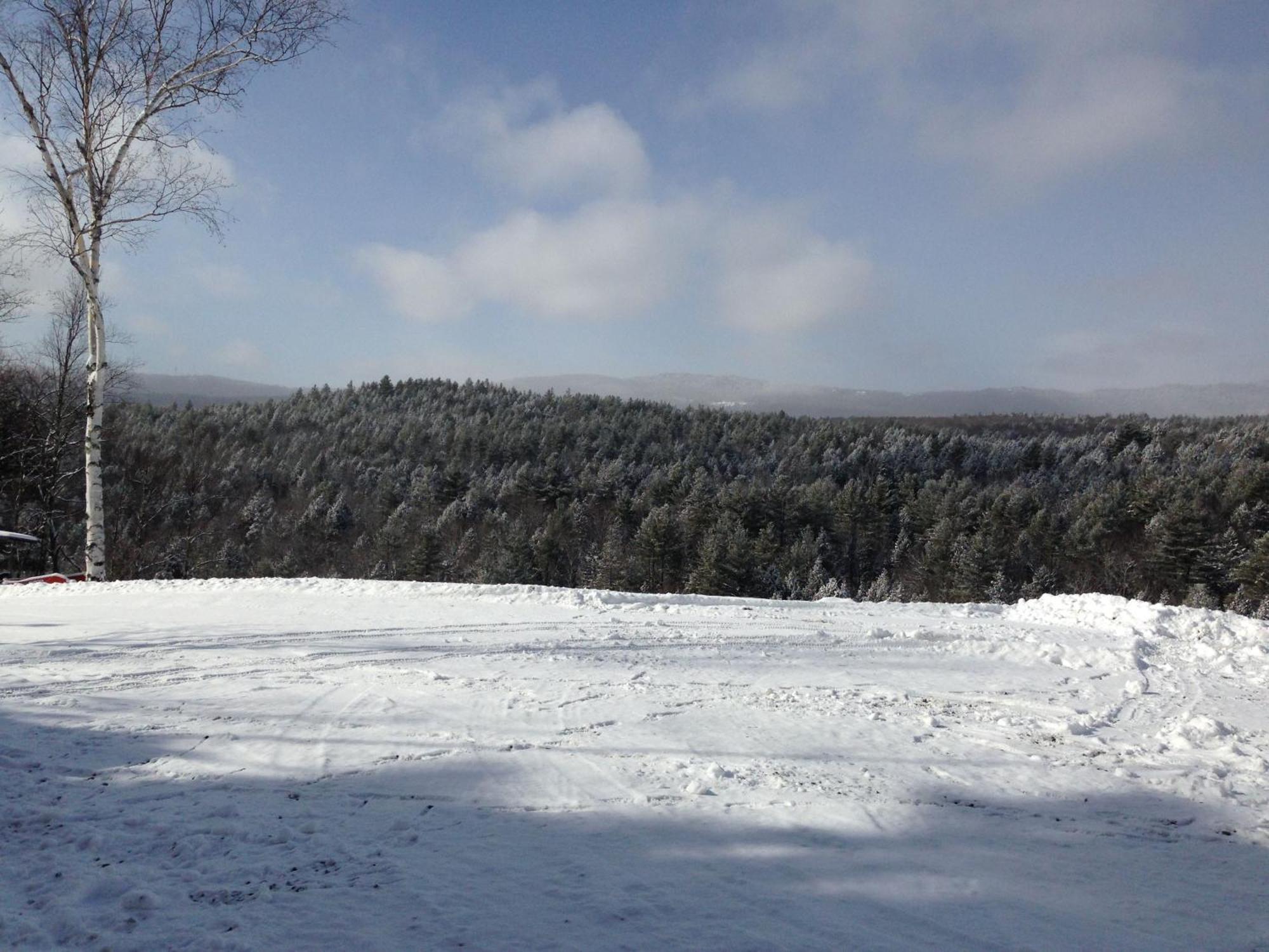 Adams Hill House Retreat - Artist-Architect'S Estate, Newfane Vermont エクステリア 写真
