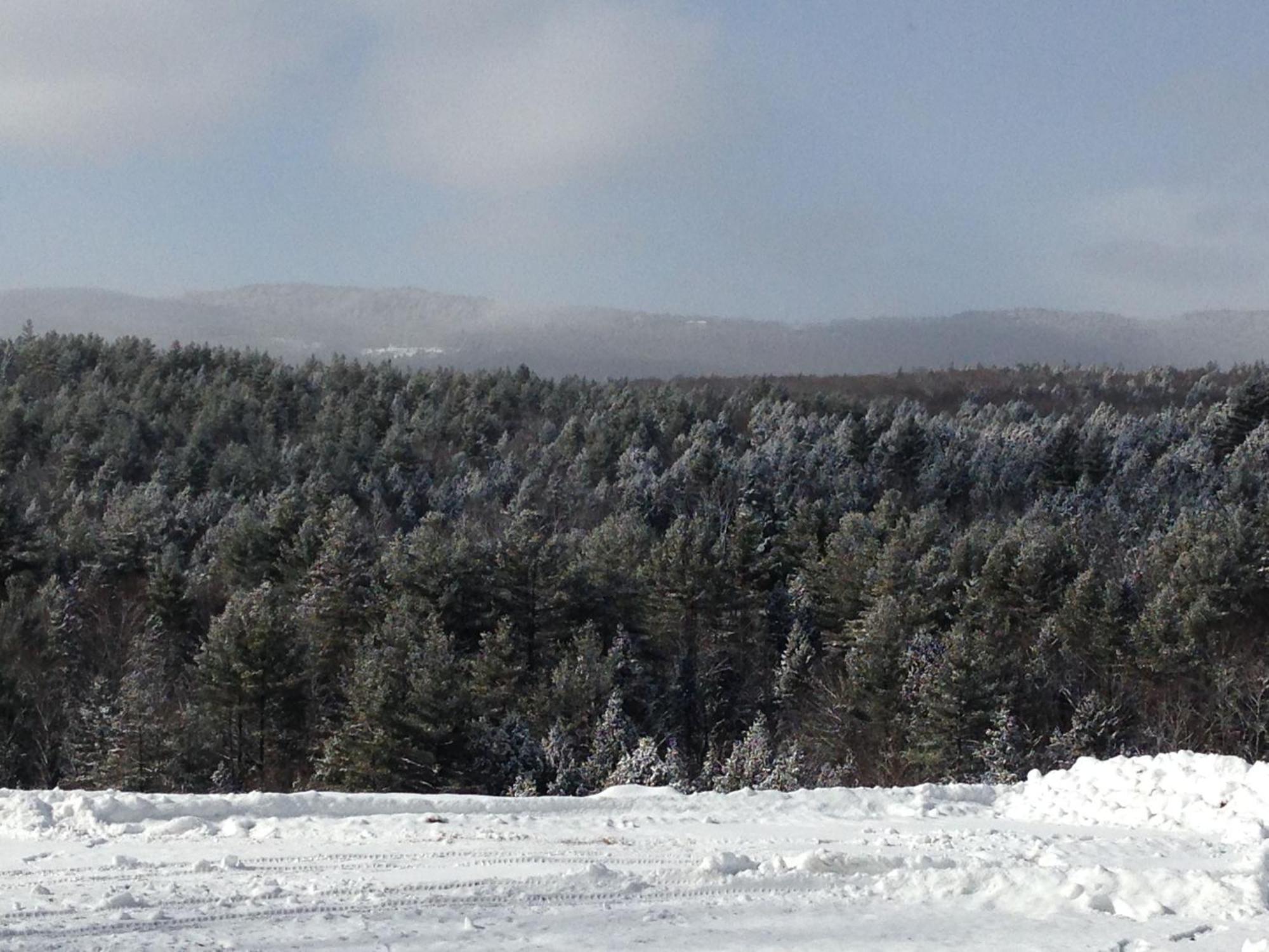 Adams Hill House Retreat - Artist-Architect'S Estate, Newfane Vermont エクステリア 写真